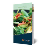 Free Sample Menu - Graphic Design Template